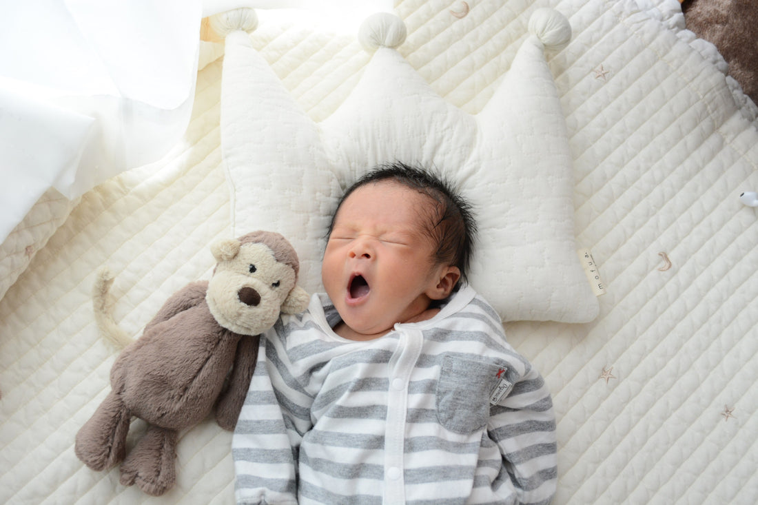 子供が持つ3つの力を十分満たすロディの魅力