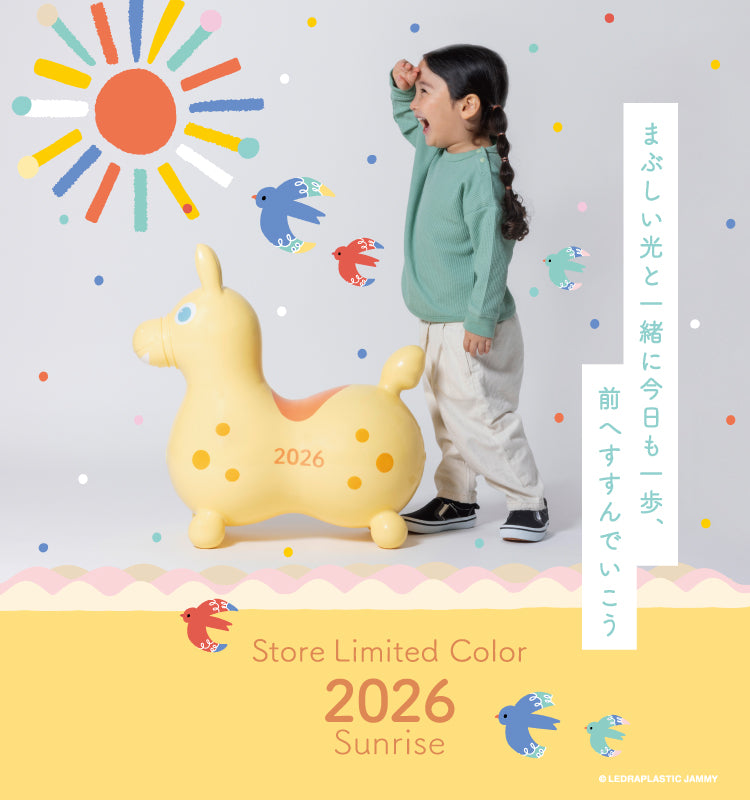 公式】RODY STORE（ロディストア）｜イタリア生まれのバランスボール