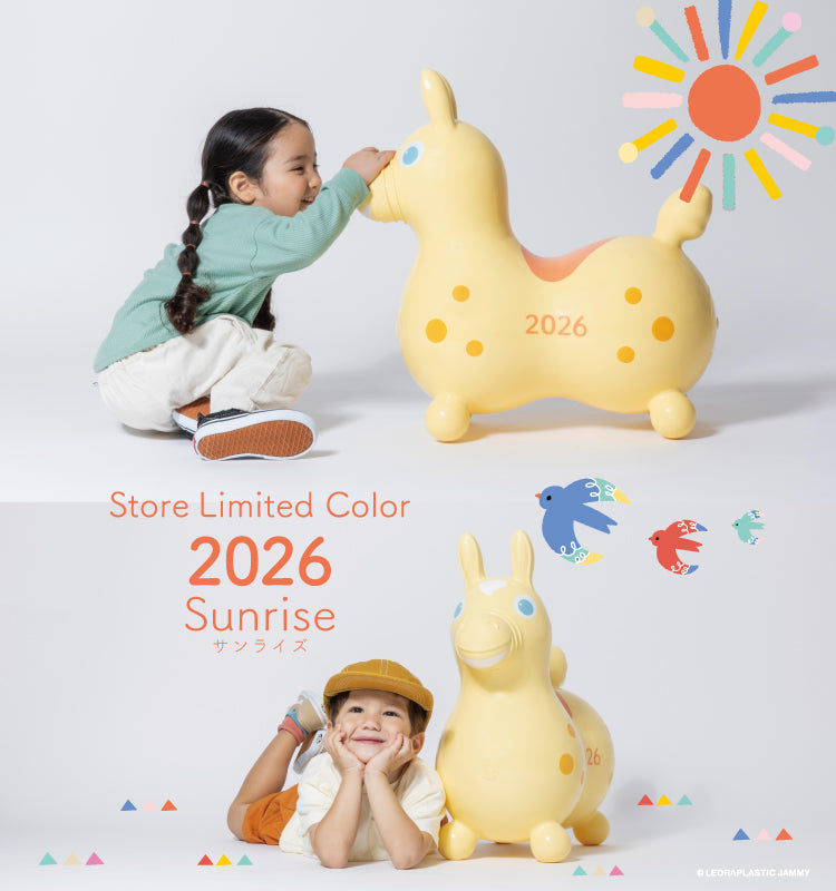 rodyページ 公式】RODY STORE（ロディストア）｜イタリア生まれのバランスボール