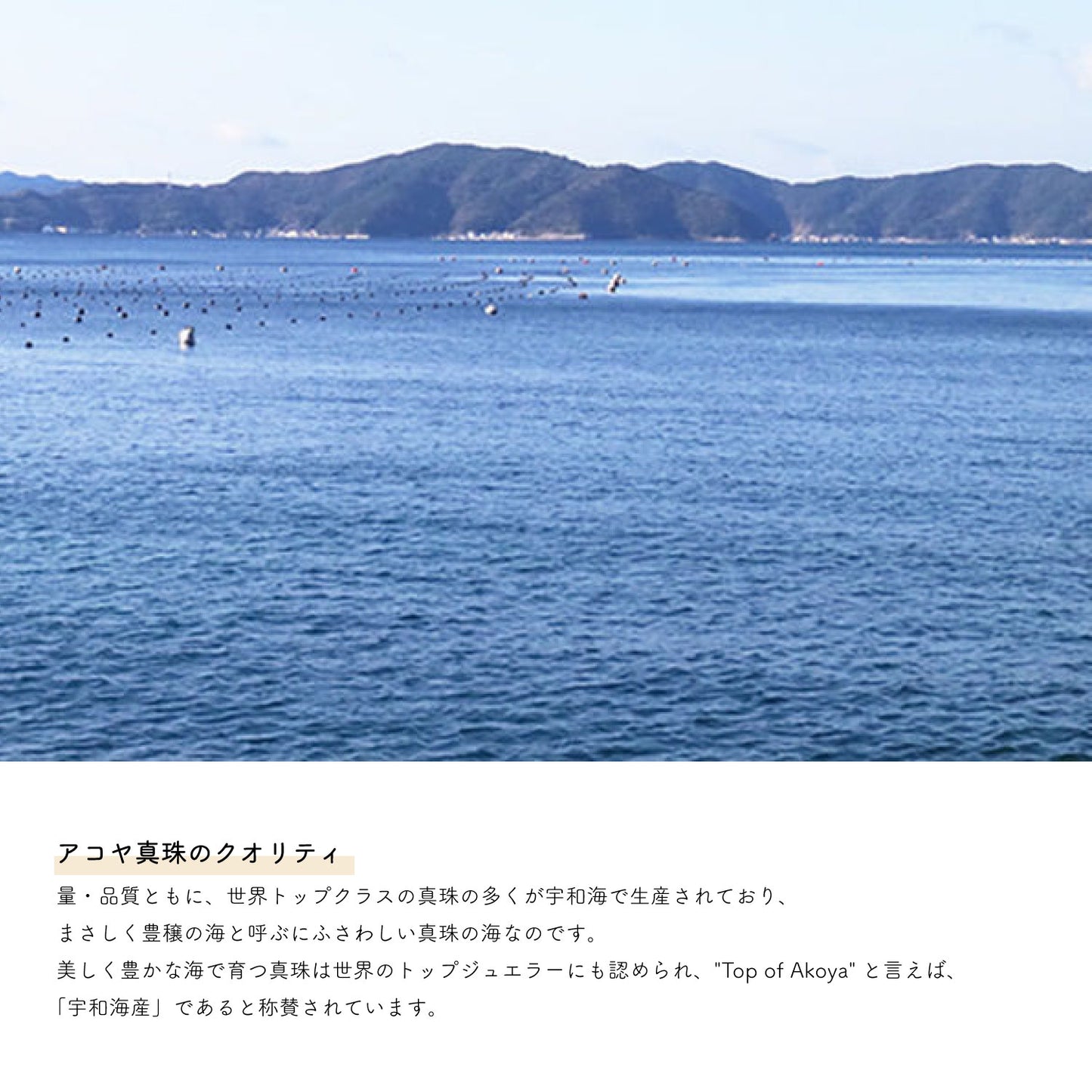 【 宇和海真珠/日本製】ロディ ピアス（本真珠）