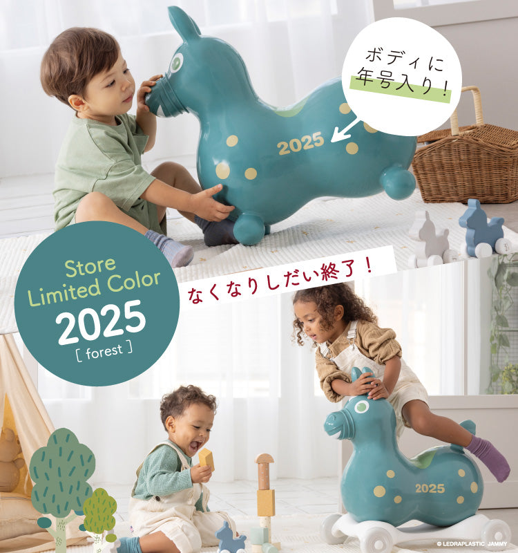 公式】RODY STORE（ロディストア）｜世界一cuteなバランスボール-RODY