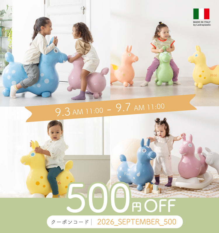 公式】RODY STORE（ロディストア）｜イタリア生まれのバランスボール